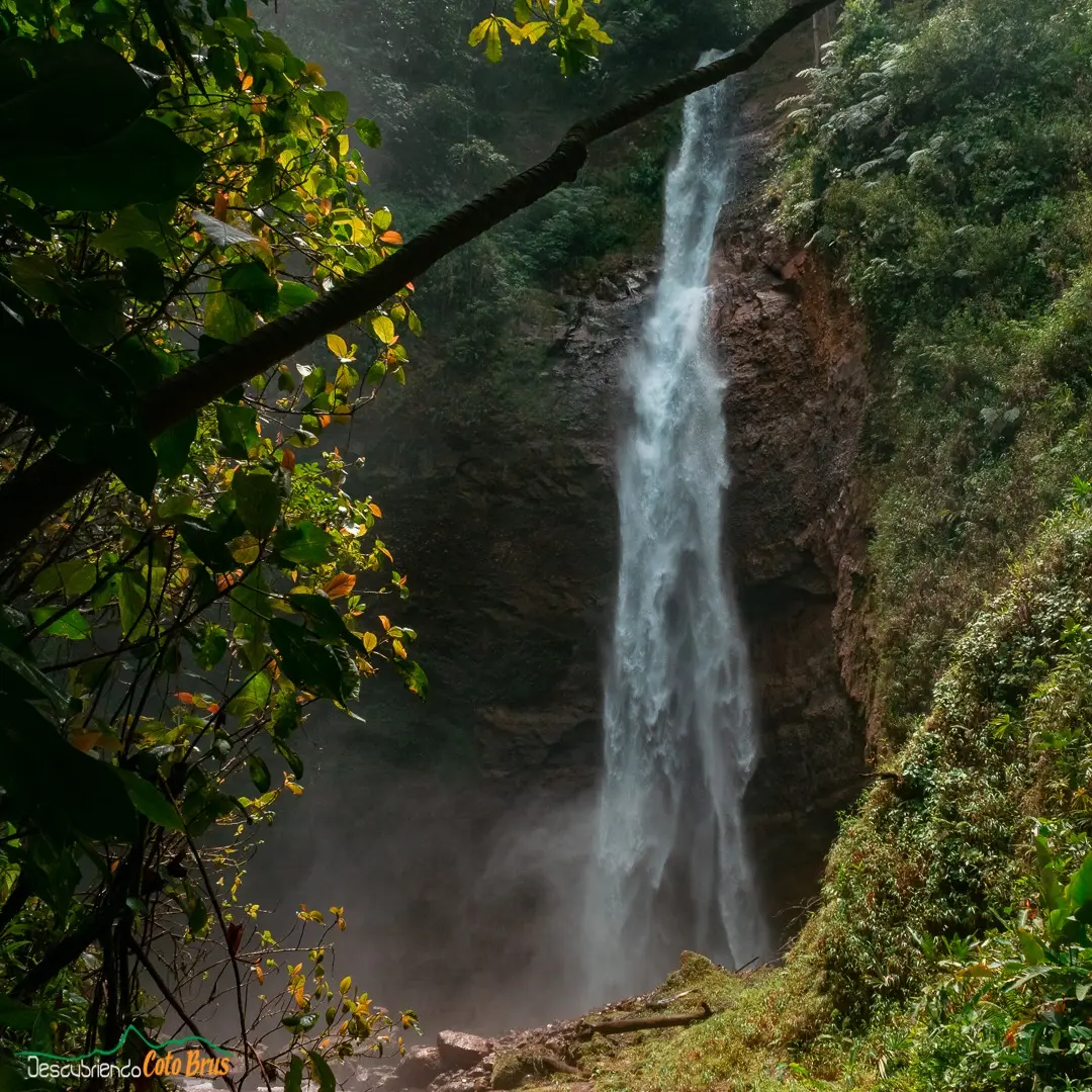 Vista completa de Catarata Kamakiri en medio de la vegetación