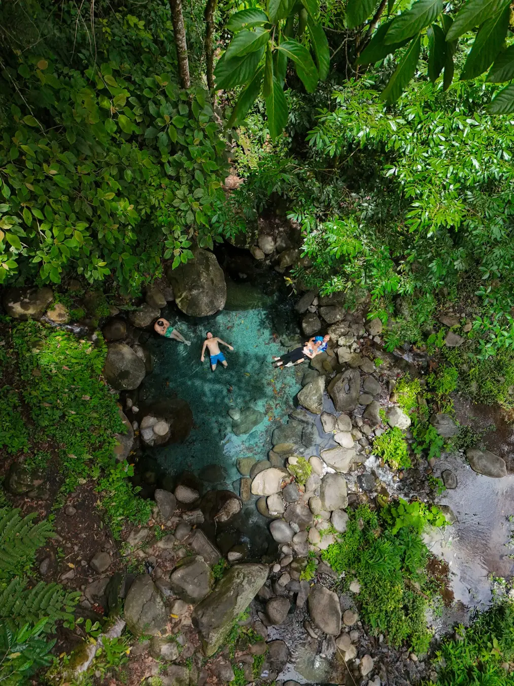 Vista aérea de la poza de aguas termales rodeada de bosque