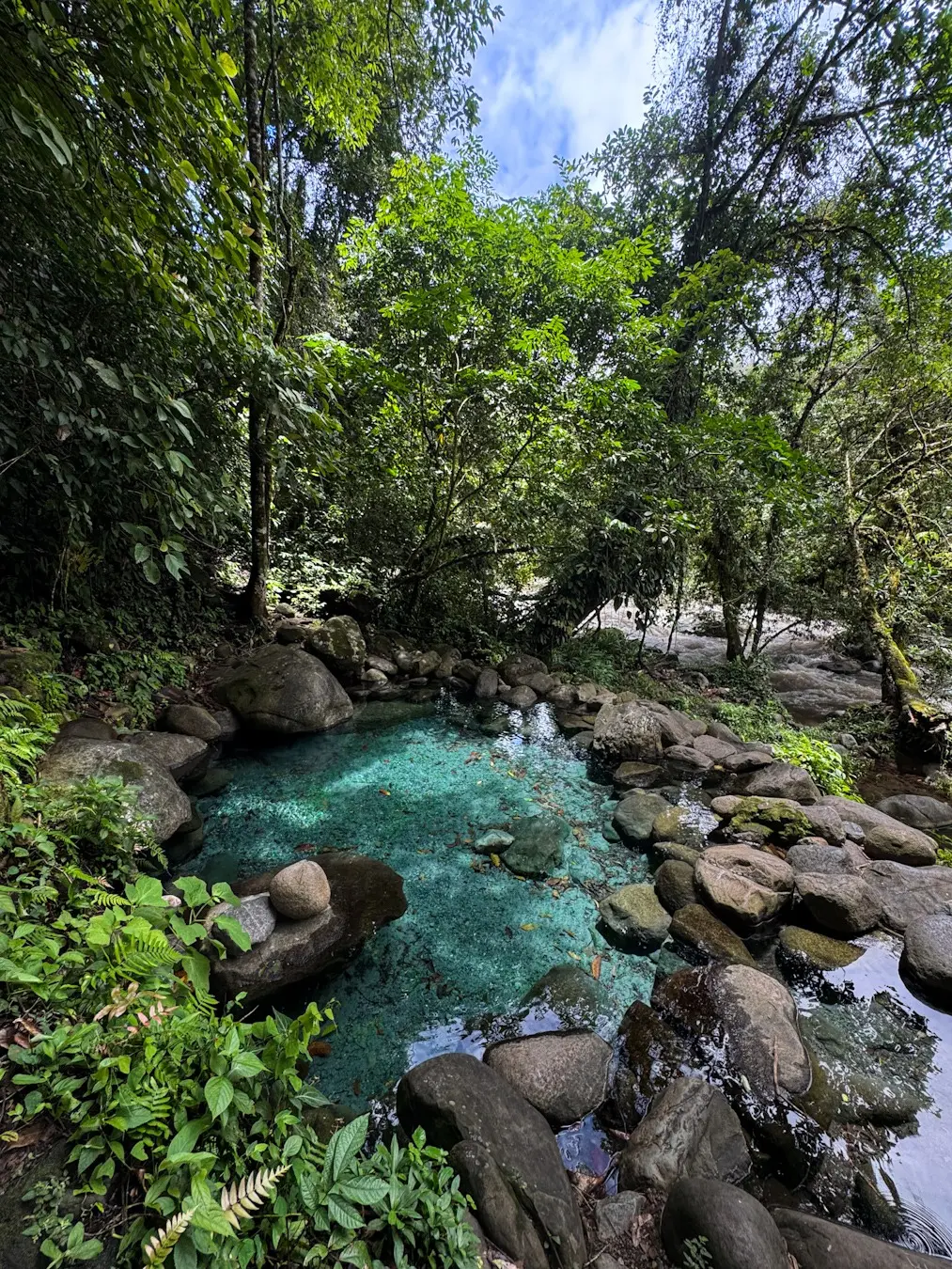 Poza de aguas termales de color turquesa entre rocas y vegetación