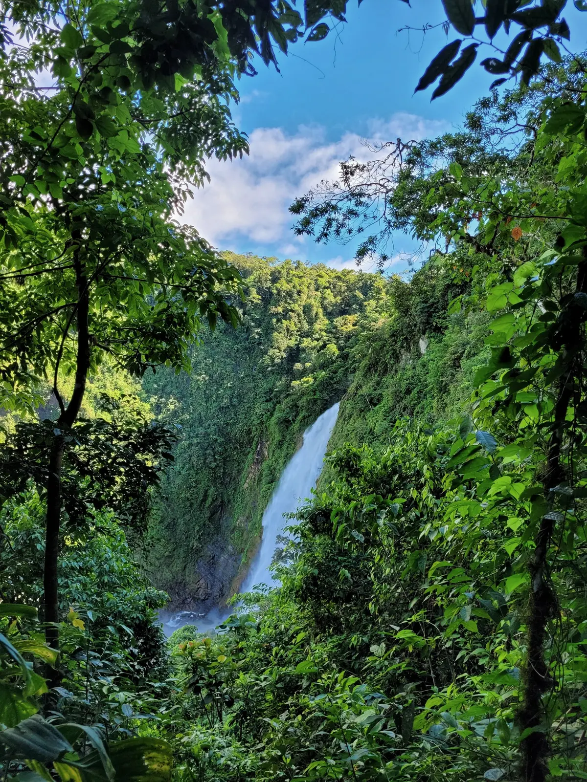 Catarata Metaponto observada desde un sendero rodeado de vegetación