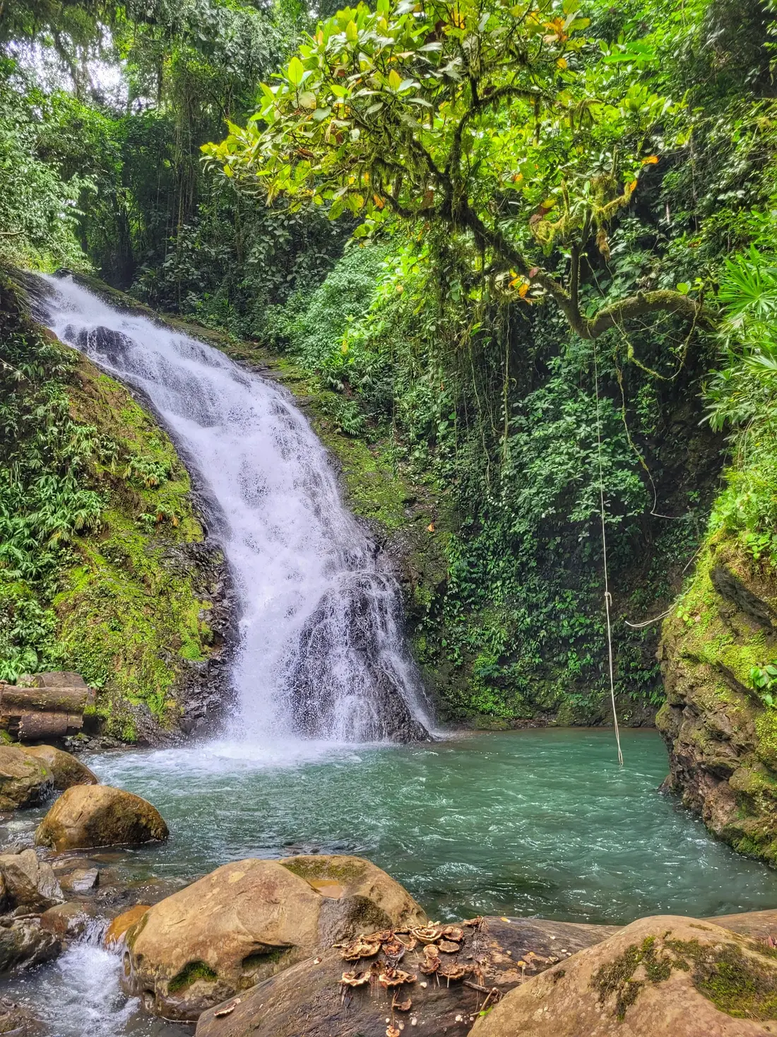 Catarata complementaria con poza natural rodeada de bosque durante el tour Metaponto