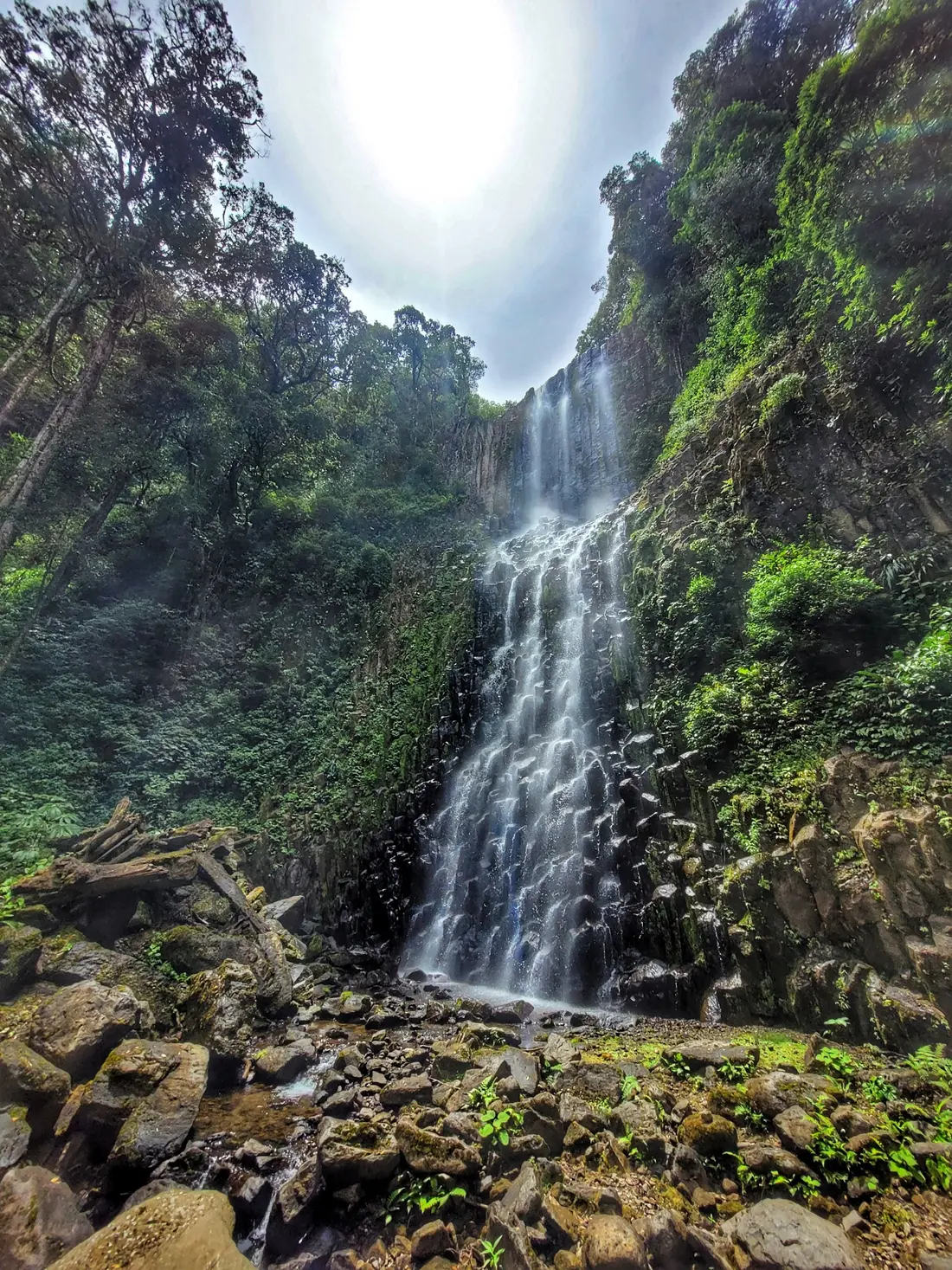 Vista frontal del Salto del Ángel entre paredes cubiertas de vegetación