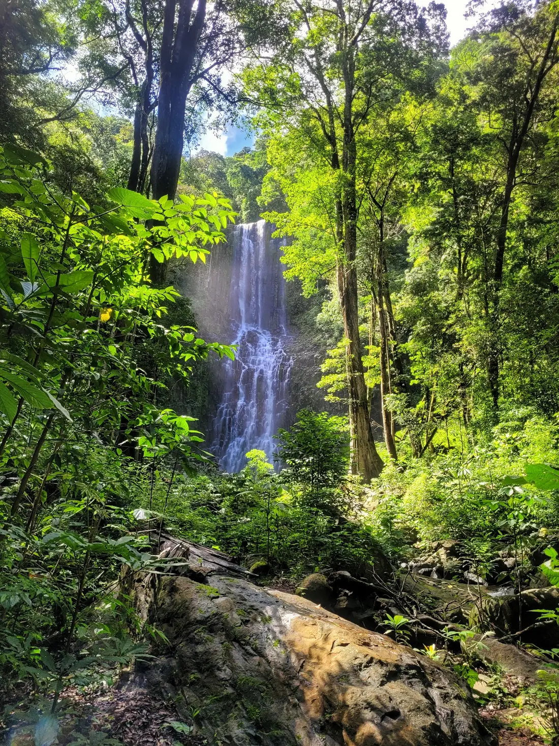 Vista del Salto del Ángel enmarcada por el bosque de Coto Brus