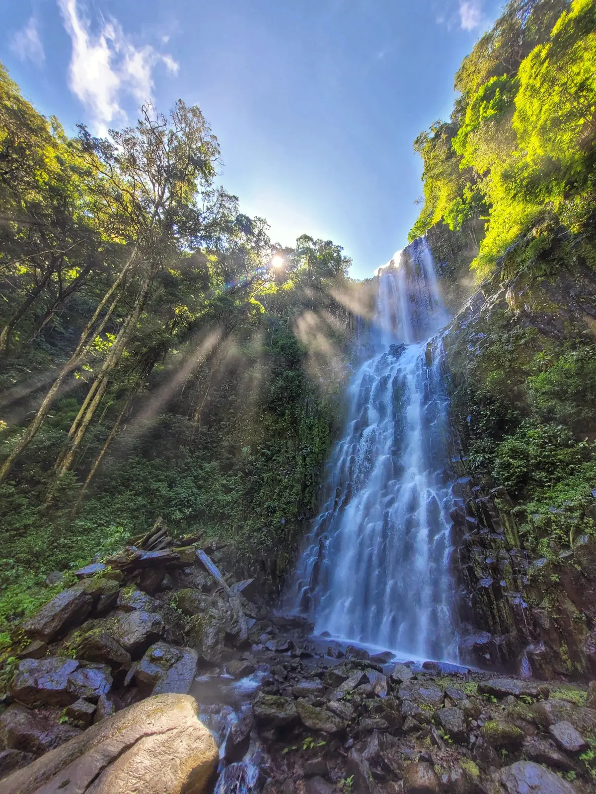 Catarata Salto del Ángel rodeada de bosque en Coto Brus